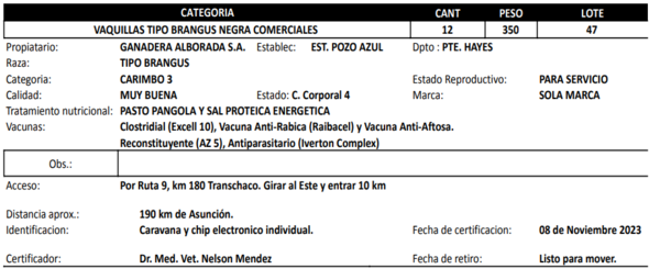 Lote LOTE 47