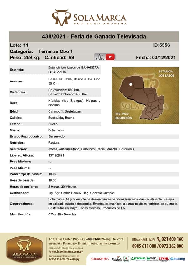 Lote Lote 11