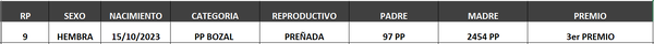 Lote LOTE 45- BOZAL