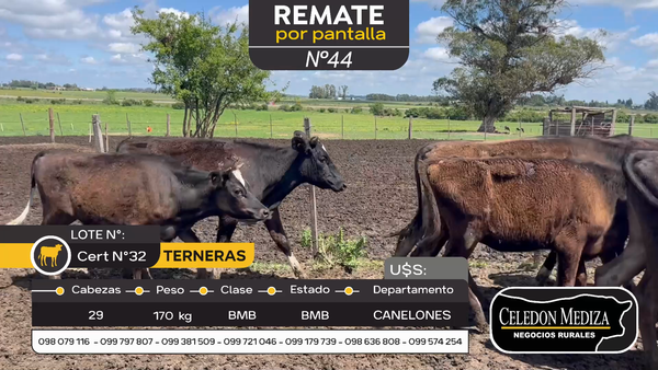 Lote 29 Terneras en Santa Lucía del Este, Canelones