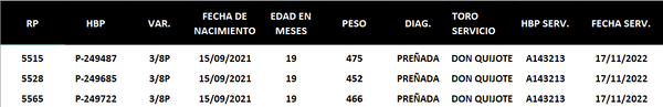 Lote LOTE 4