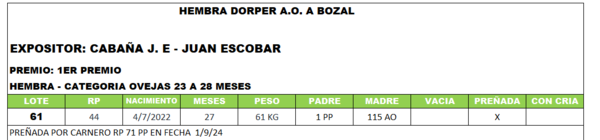 Lote LOTE 61