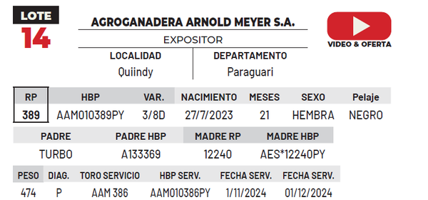 Lote LOTE 14