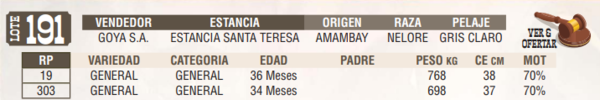 Lote LOTE 191 - EN VIVO