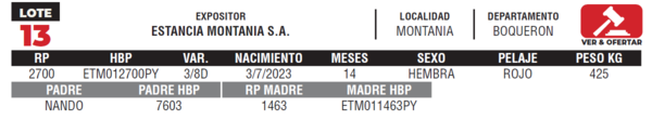 Lote LOTE 13- JUNIOR