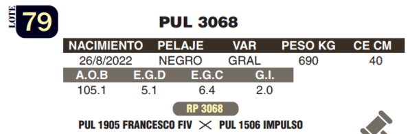 Lote LOTE 79