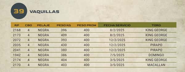 Lote LOTE 39