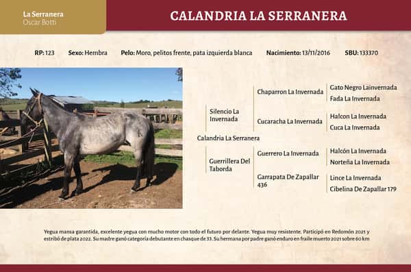 Lote Calandria la Serranera (RP 123) - Cabaña "La Serranera"