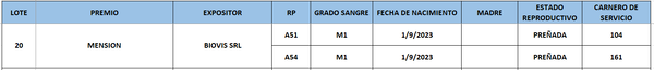 Lote LOTE 20