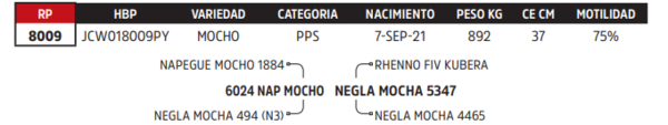 Lote LOTE 60