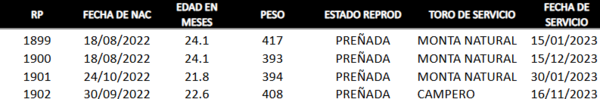 Lote LOTE 35