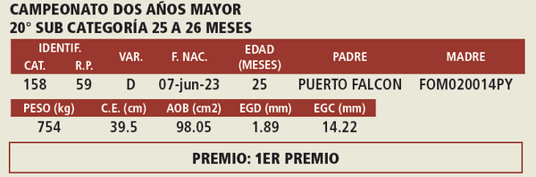 Lote LOTE 5