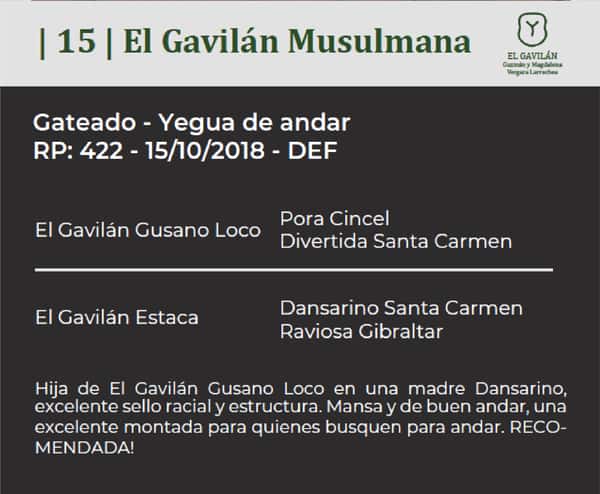 Lote El Gavilán Musulmana (RP 422) Cabaña "El Gavilán"