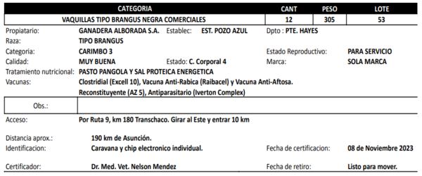 Lote LOTE 53