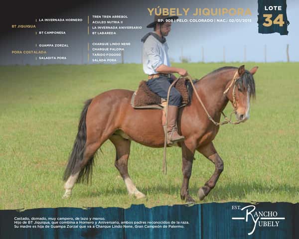 Lote Yubely Jiquipora