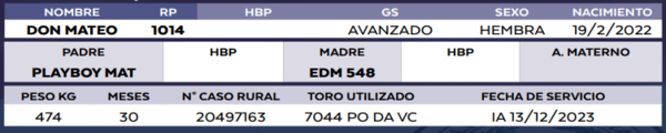 Lote LOTE 37