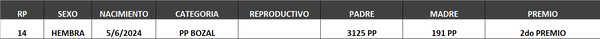 Lote LOTE 12- BOZAL