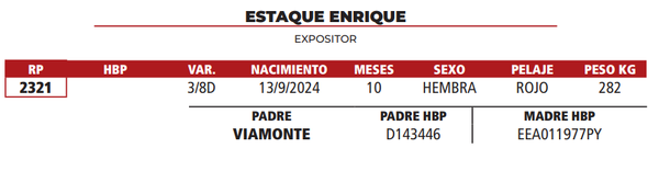 Lote LOTE 6