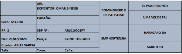 Lote LOTE 14