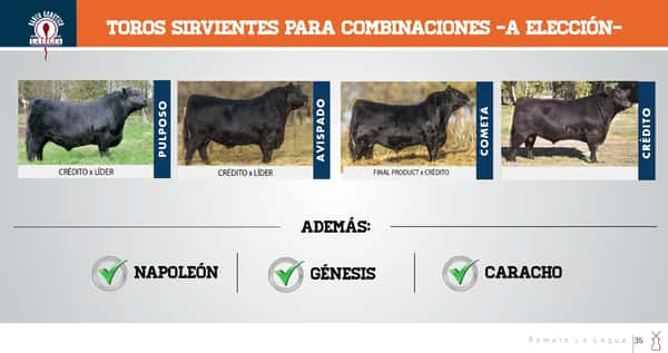 Lote DONANTES