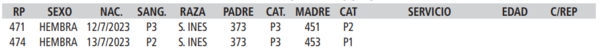 Lote LOTE 6