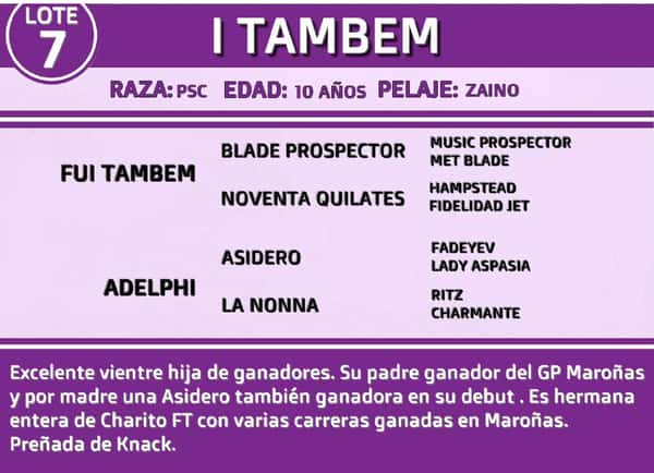 Lote I TAMBEM