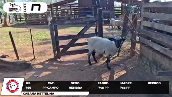 Lote LOTE 17- CAMPO