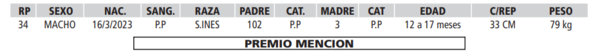 Lote LOTE 15