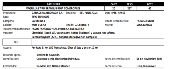 Lote LOTE 60