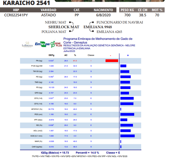 Lote LOTE 29
