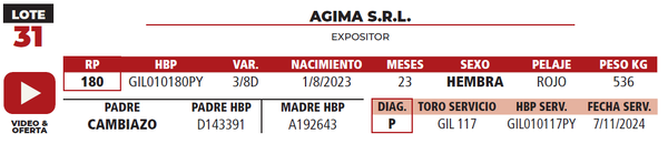 Lote LOTE 31