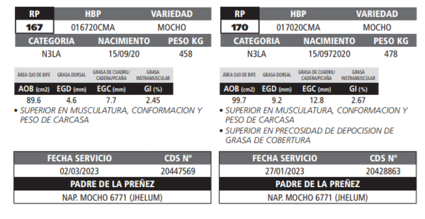 Lote LOTE 37