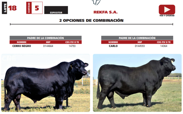 Lote LOTE 18