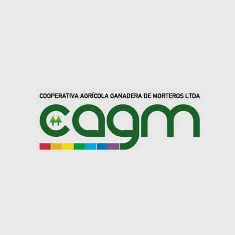 Lote 30 Novillitos Holando Argentino en Morteros, Córdoba