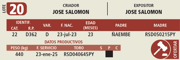 Lote LOTE 20