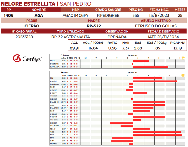 Lote LOTE 31