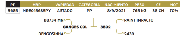 Lote LOTE 36