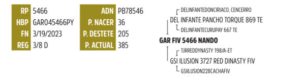 Lote LOTE 8