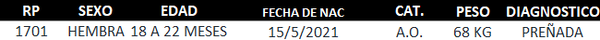 Lote LOTE 1 - CABAÑA SAN ERNESTO  RP 1701