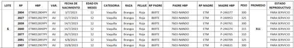 Lote LOTE 6