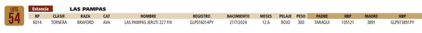 Lote LOTE 54