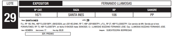 Lote LOTE 29