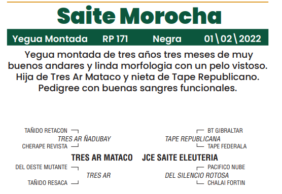 Lote LOTE 6