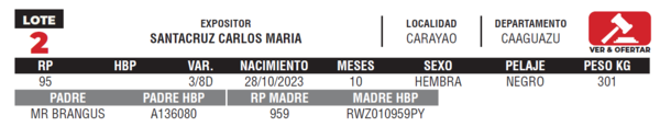 Lote LOTE 2- JUNIOR