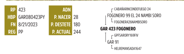 Lote LOTE 26