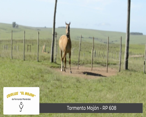 Lote Tormento Mojón (RP 608)