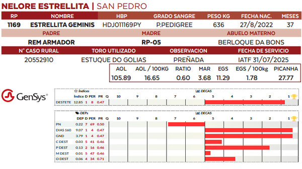 Lote LOTE 34