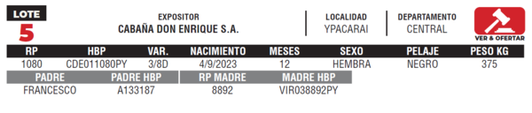 Lote LOTE 5- JUNIOR