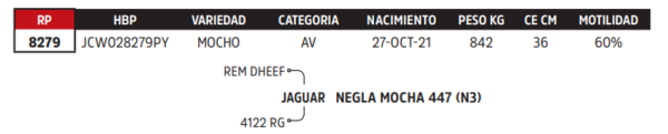 Lote LOTE 64