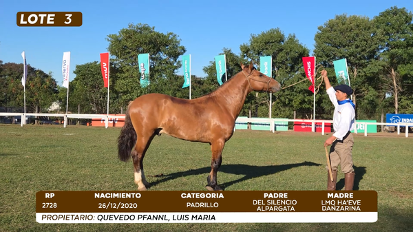 Lote LOTE 3